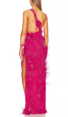 ONE-SHOULDER FEATHER EMBELLISHMENTS MAXI DRESS