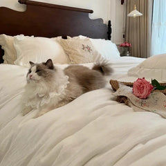 Muslin Duvet Cover Set with Ruffle