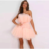 Off Shoulder Mesh Tutu Dress Bodycon Lace Short Dress