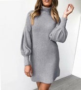 WomenLoose Oversize Turtleneck Lantern Sleeve Knit Sweater Dress Winter Warm Mini Jumper Pullover Dresses