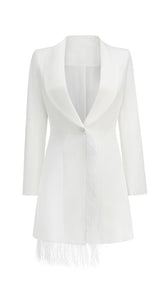 LONG SLEEVES FEATHER MINI DRESS IN WHITE