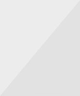 Ripped Drawstring Denim Shorts