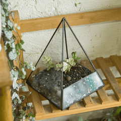 Glass Pyramid Plant Terrarium