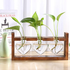 Heart Shaped Glass Bulbs Pot