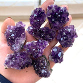 Raw Amethyst Quartz Crystal Cluster