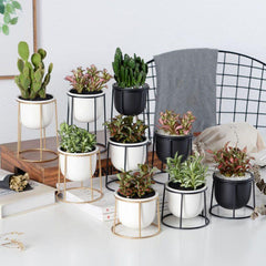 Set of 3 Flower Pots