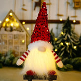 Christmas Gnome Light Decorations
