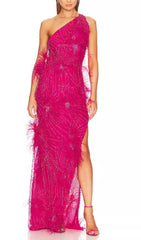 ONE-SHOULDER FEATHER EMBELLISHMENTS MAXI DRESS