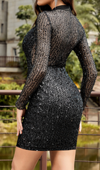 MOCK NECK SEQUIN BODYCON DRESS