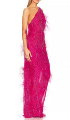 ONE-SHOULDER FEATHER EMBELLISHMENTS MAXI DRESS