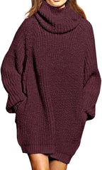 WomenLoose Turtleneck Oversize Long Pullover Sweater Dress