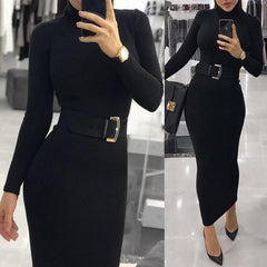 Fashion Turtleneck Long Sleeve Dress