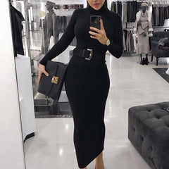 Fashion Turtleneck Long Sleeve Dress