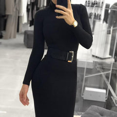 Fashion Turtleneck Long Sleeve Dress