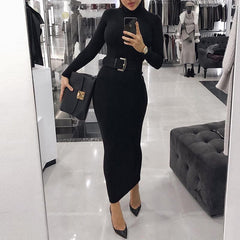 Fashion Turtleneck Long Sleeve Dress