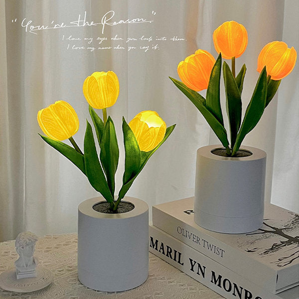 Tulip Table Lamp - Pink - White