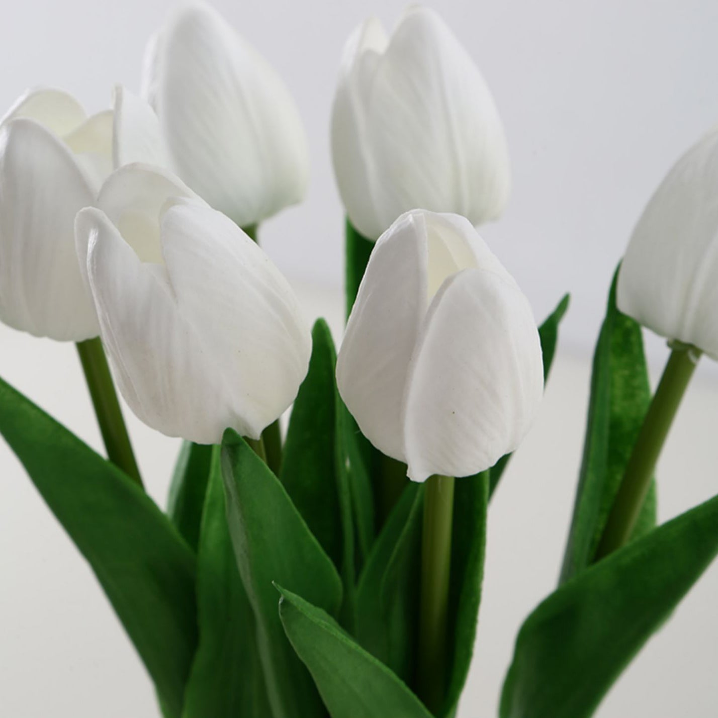 Tulip Night Light
