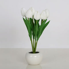 Tulip Night Light