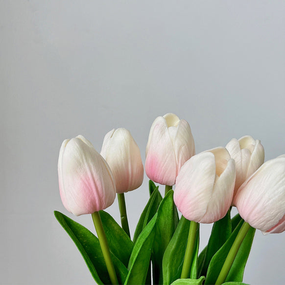 Tulip Night Light