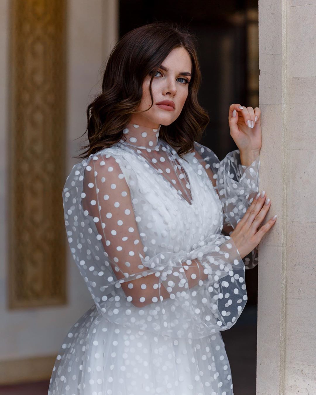 Organza Prom Dresses for See Through Dress