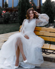 Organza Prom Dresses for See Through Dress