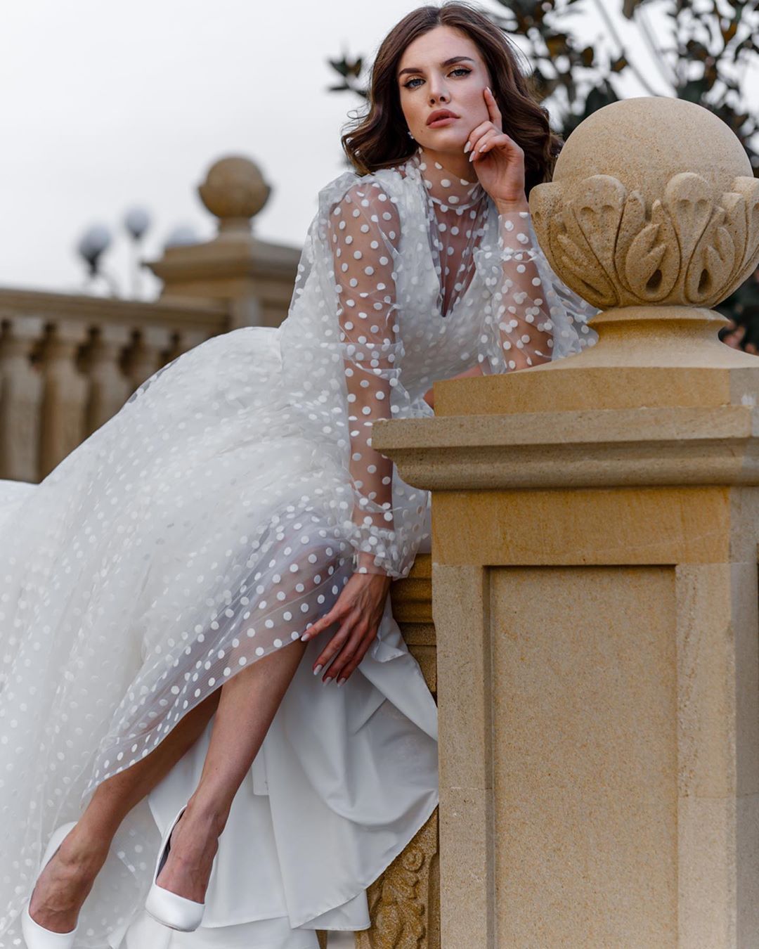 Organza Prom Dresses for See Through Dress