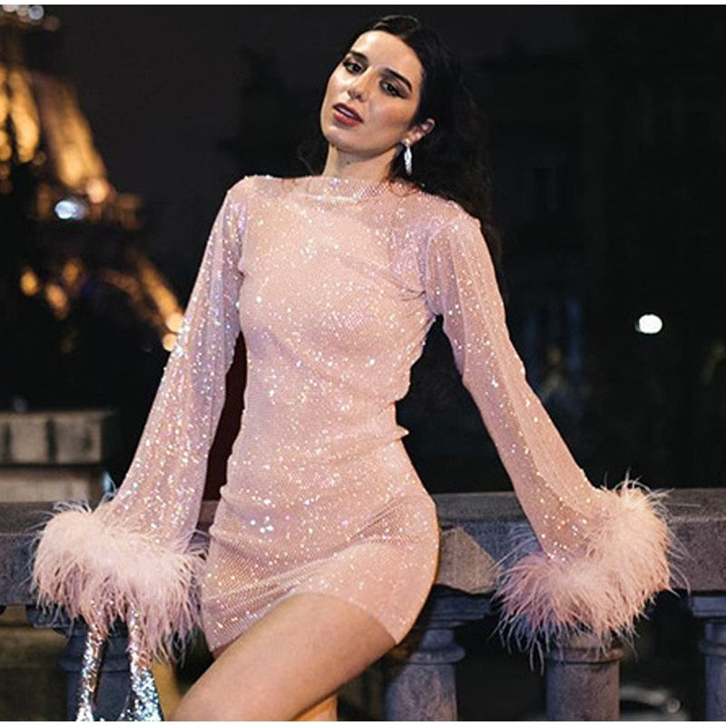 See Through Long Sleeve Shinny Sequins Club Party Outfit