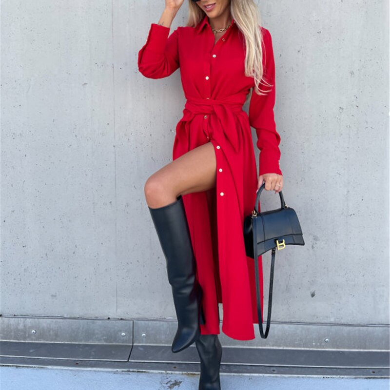 Slim Lace Up Long Sleeve Turn Down Collar Maxi Dress