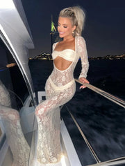 Lace Perspective Long Sleeve Slim Fit Summer Maxi Dress