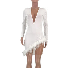 Faxu Feather Long Sleeve Dress
