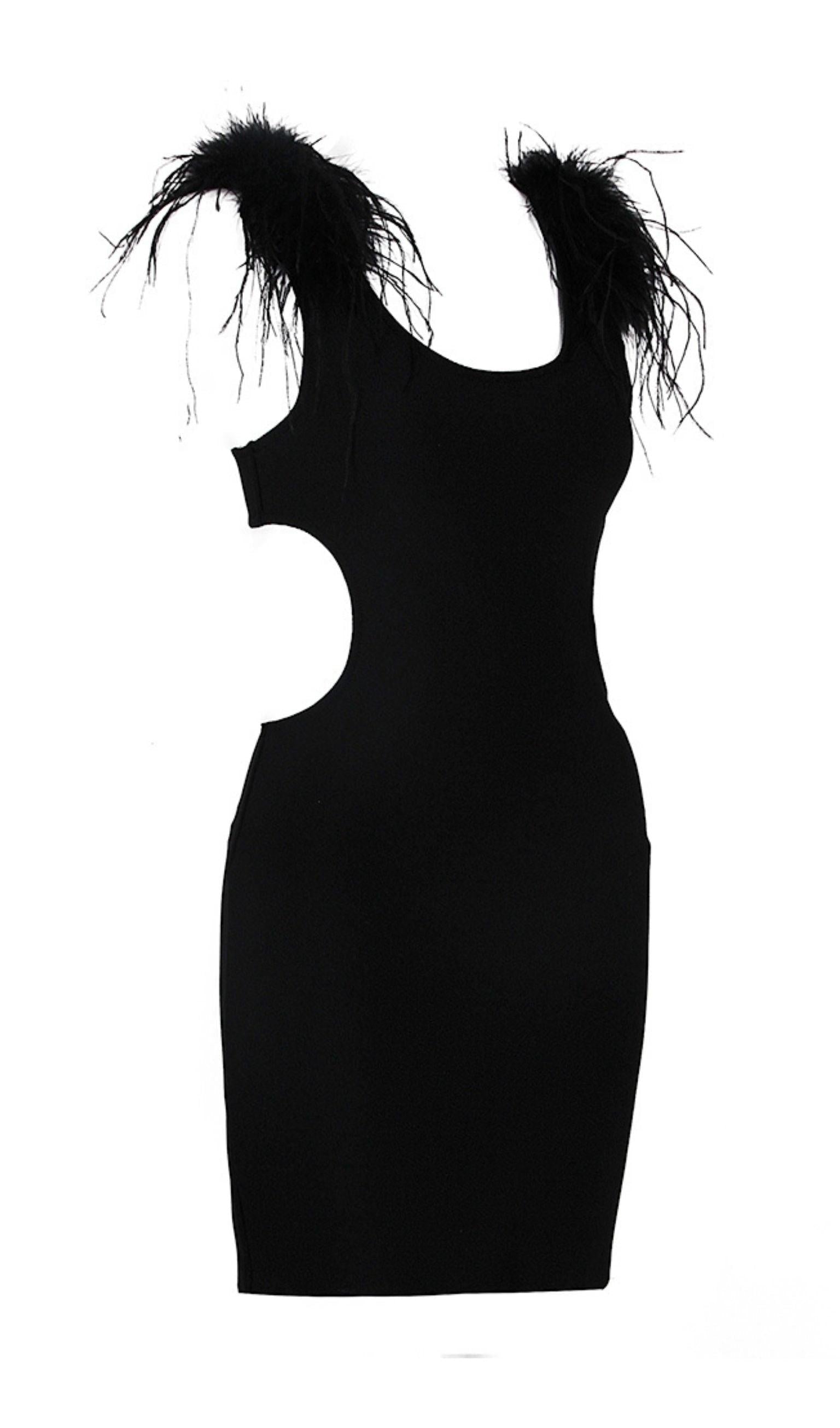 MESH FEARHER BANDAGE MINI DRESS IN BLACK