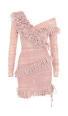 BLUSH LACE FRILL MINI DRESS