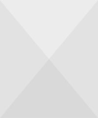 Ripped Drawstring Denim Shorts