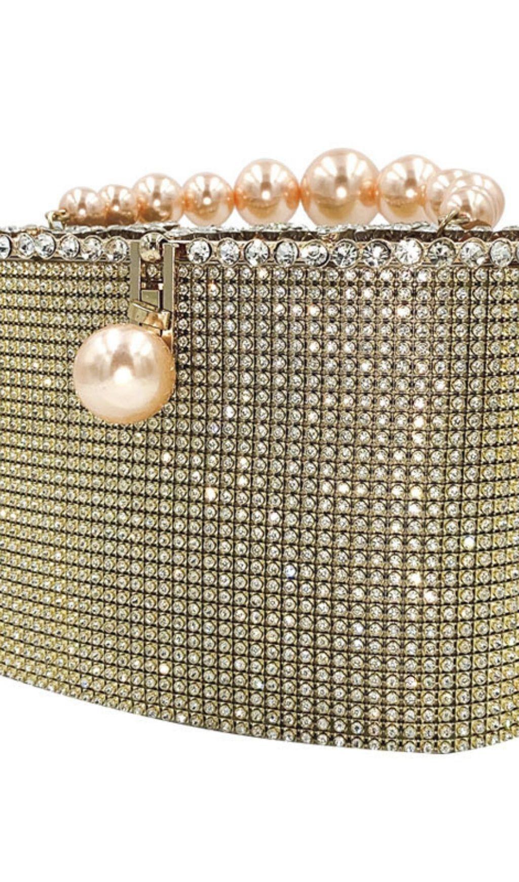 SLIVER PEARL LUGGAGE HANDBAG