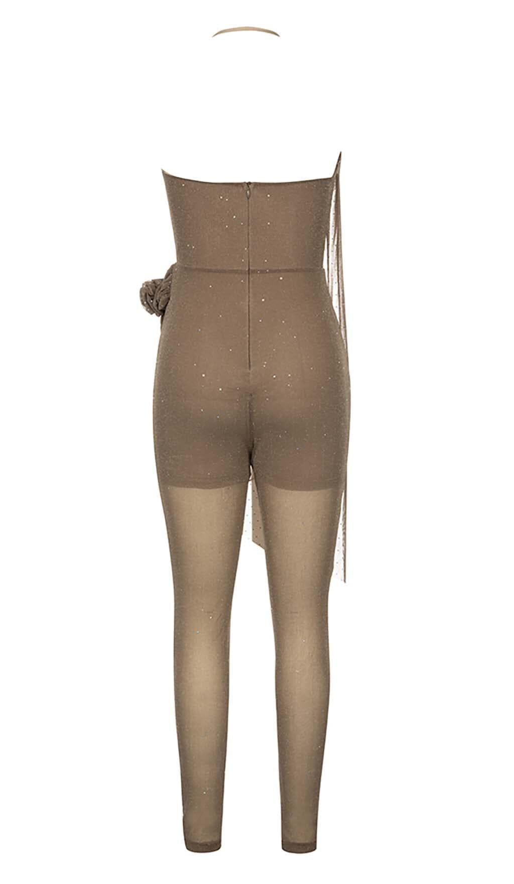 MESH PLUNGE JUMPSUIT IN BROWN