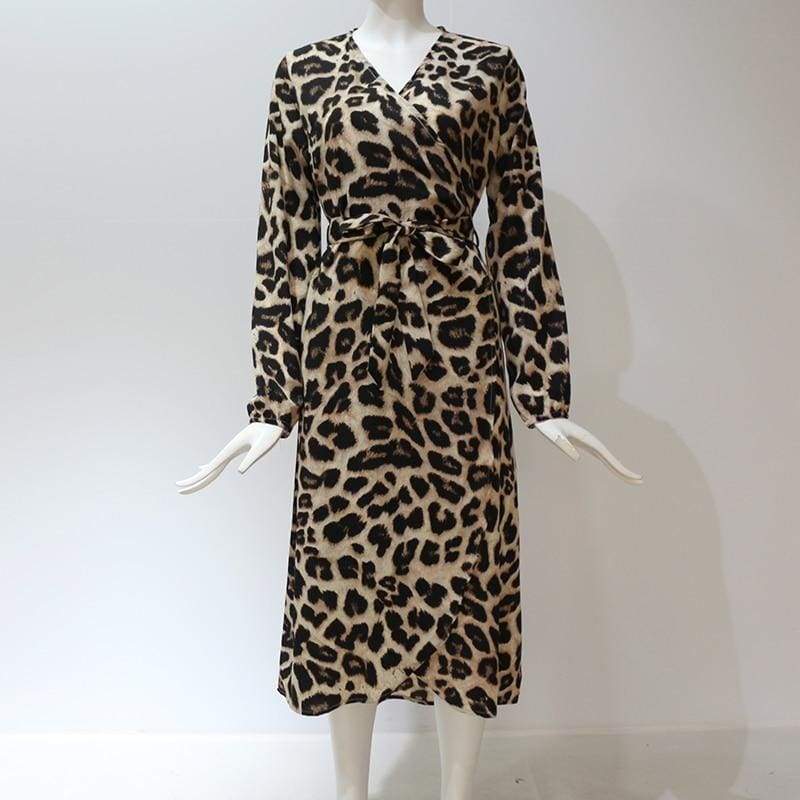 Leopard Dress Loose Long Sleeve Deep V-neck A-line Dress