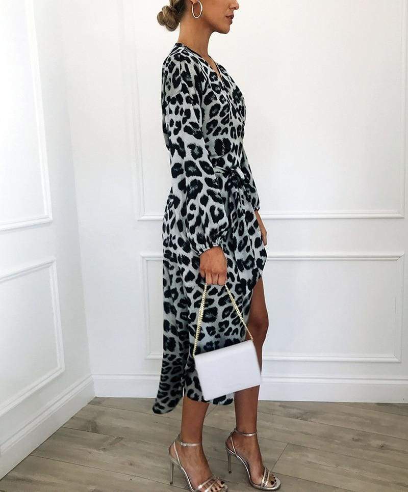Leopard Dress Loose Long Sleeve Deep V-neck A-line Dress
