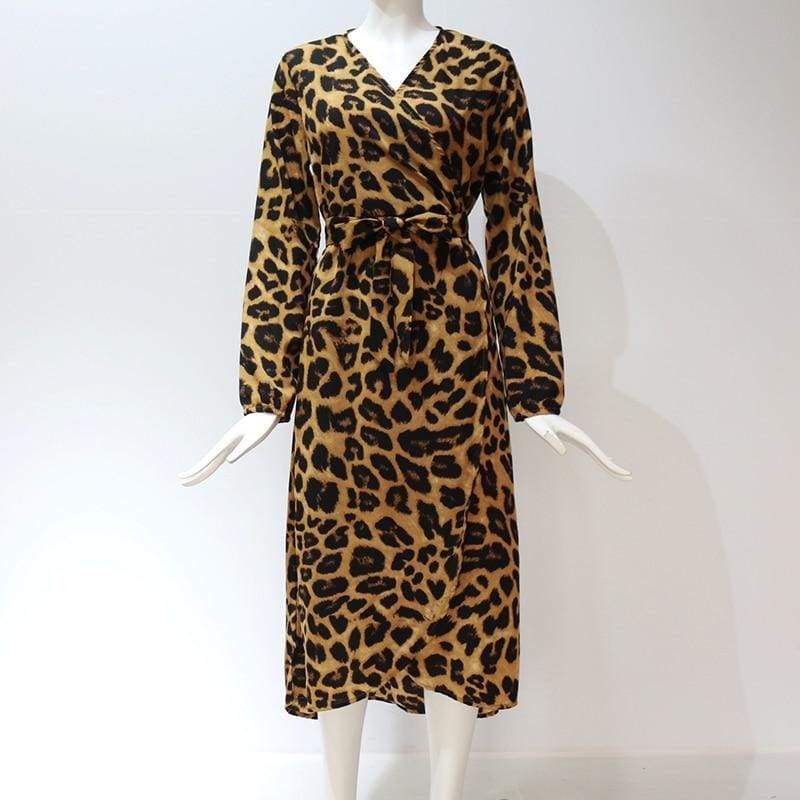 Leopard Dress Loose Long Sleeve Deep V-neck A-line Dress