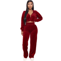 Velvet Tracksuit 2 Two Piece Set Zipper Hoodie Sweatshirt Wide Leg Pant