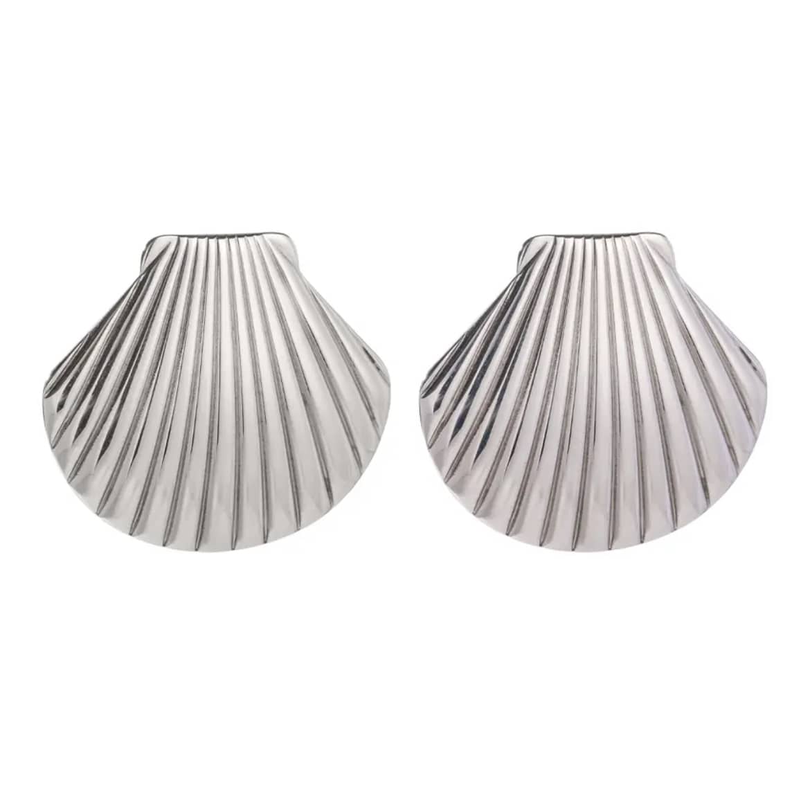 Shell Earrings