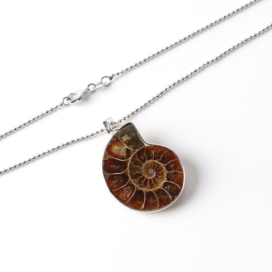 Natural Ammonite Snail Shell Necklace