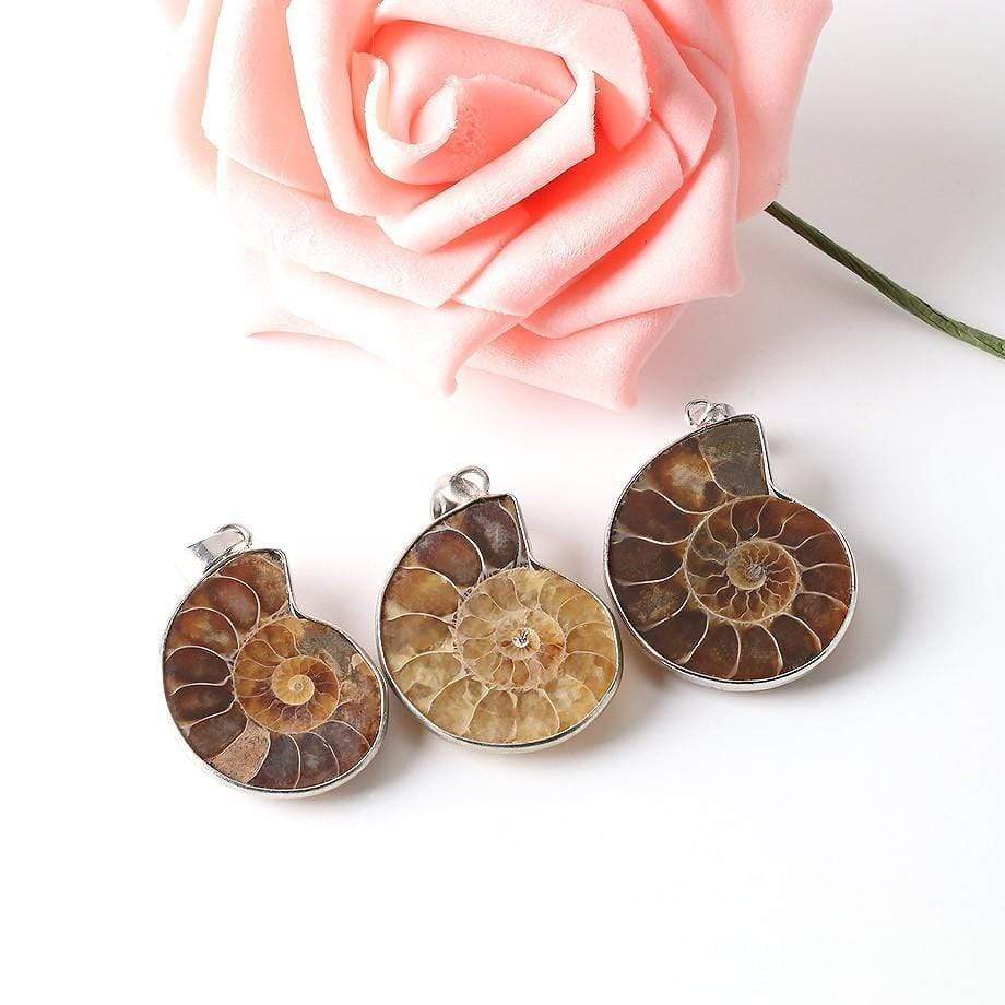 Natural Ammonite Snail Shell Necklace