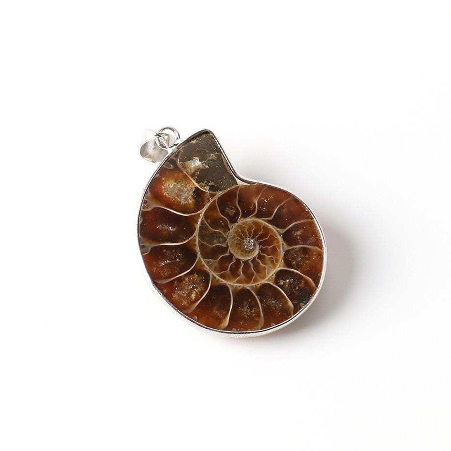 Natural Ammonite Snail Shell Necklace