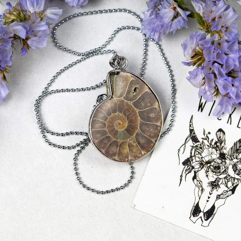 Natural Ammonite Snail Shell Necklace