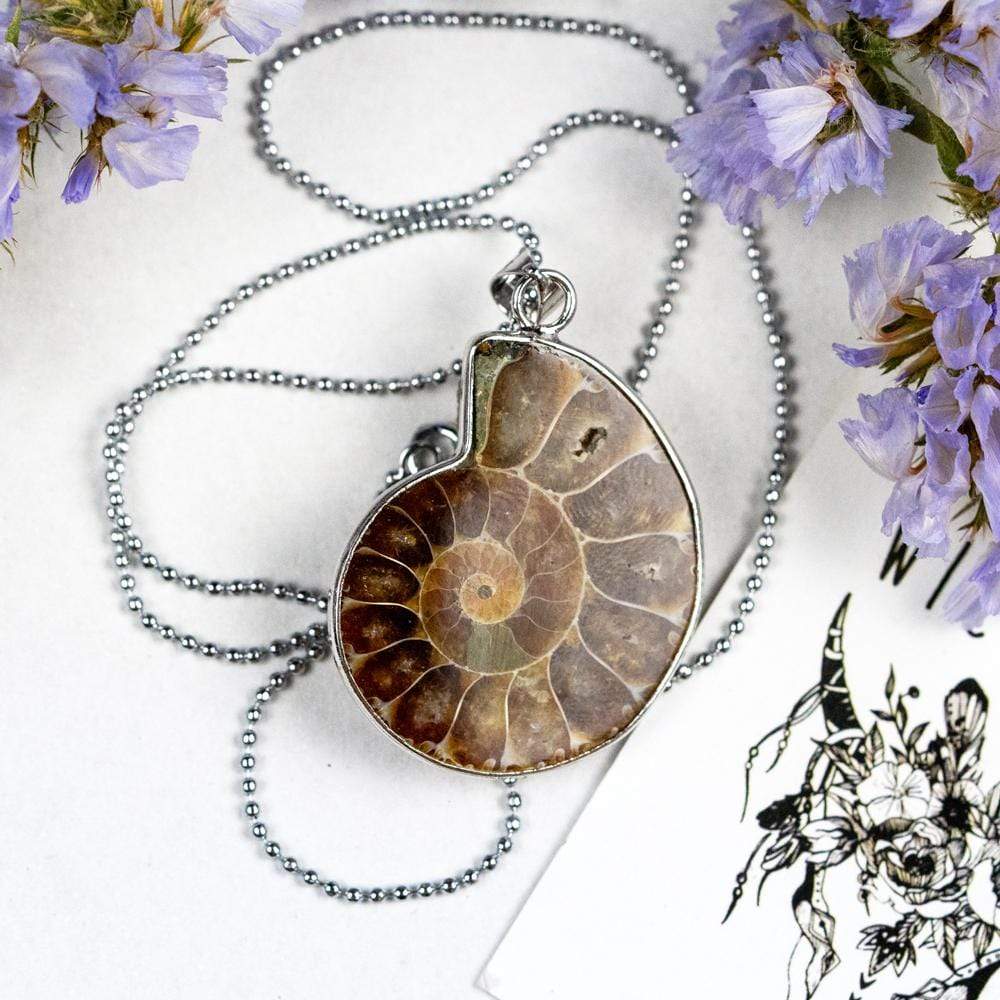 Natural Ammonite Snail Shell Necklace