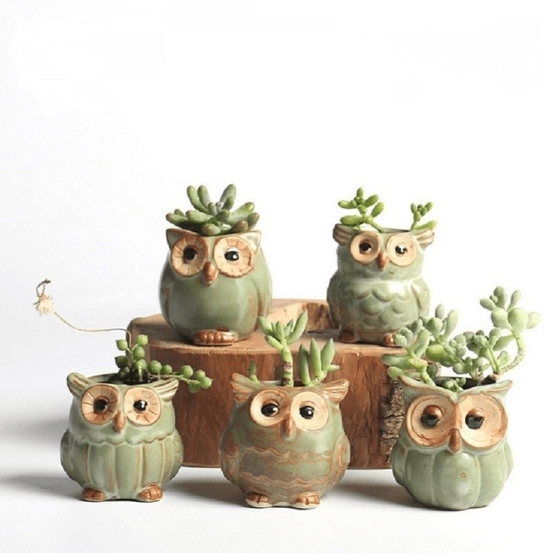 Owl Ceramic Flower Pot Set 5pcs