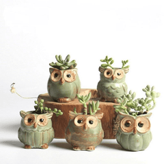 Owl Ceramic Flower Pot Set 5pcs