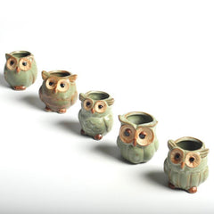 Owl Ceramic Flower Pot Set 5pcs