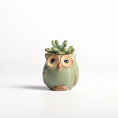 Owl Ceramic Flower Pot Set 5pcs