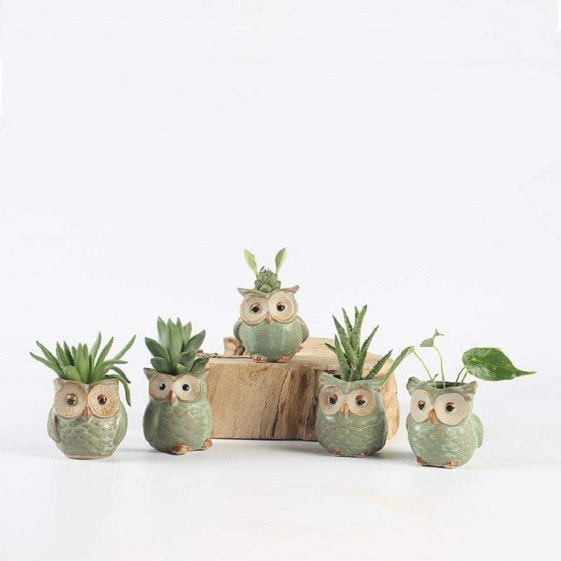 Owl Ceramic Flower Pot Set 5pcs